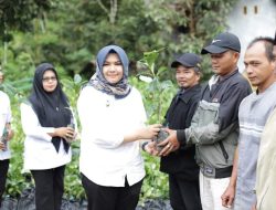 Wabup Madina Minta Bantuan Bibit Dimanfaatkan dengan Sebaik-baiknya